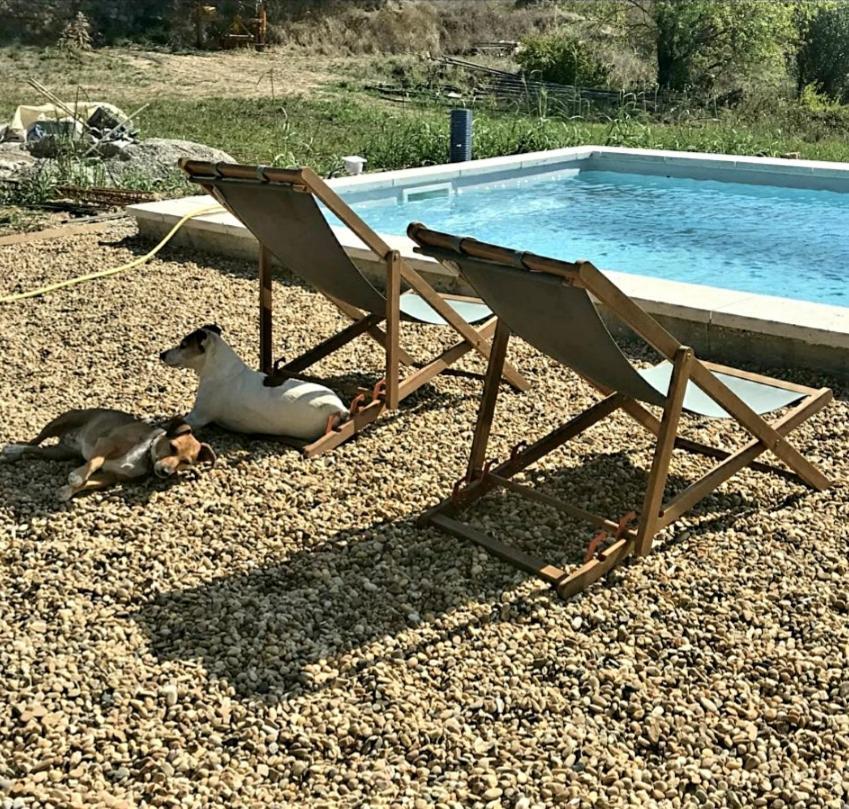 Bastide Bellugue Maison D'Hotes Reseau Bienvenue A La Ferme A 3 Minutes De Lourmarin Cadenet Exteriér fotografie