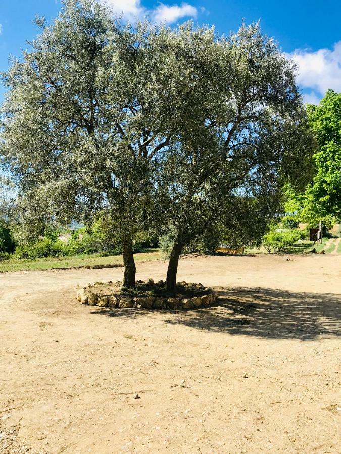 Bastide Bellugue Maison D'Hotes Reseau Bienvenue A La Ferme A 3 Minutes De Lourmarin Cadenet Exteriér fotografie